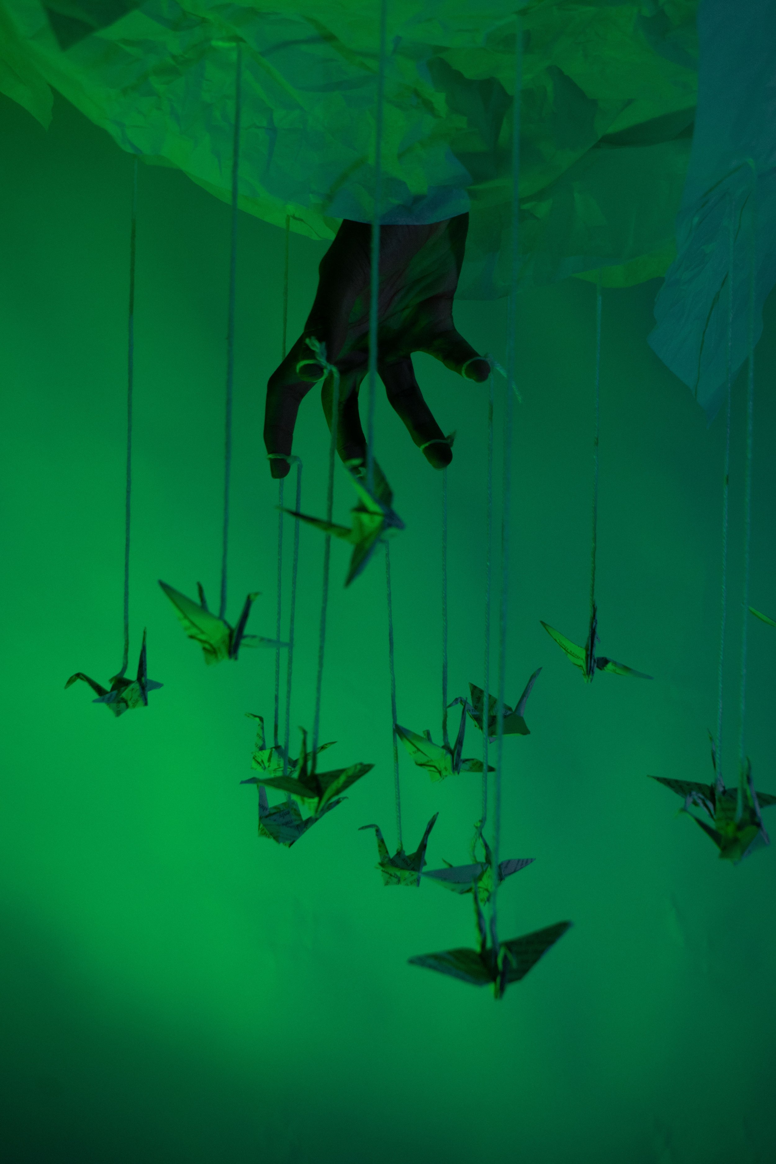 Brock Bowen, A Touch of Creativity; Green