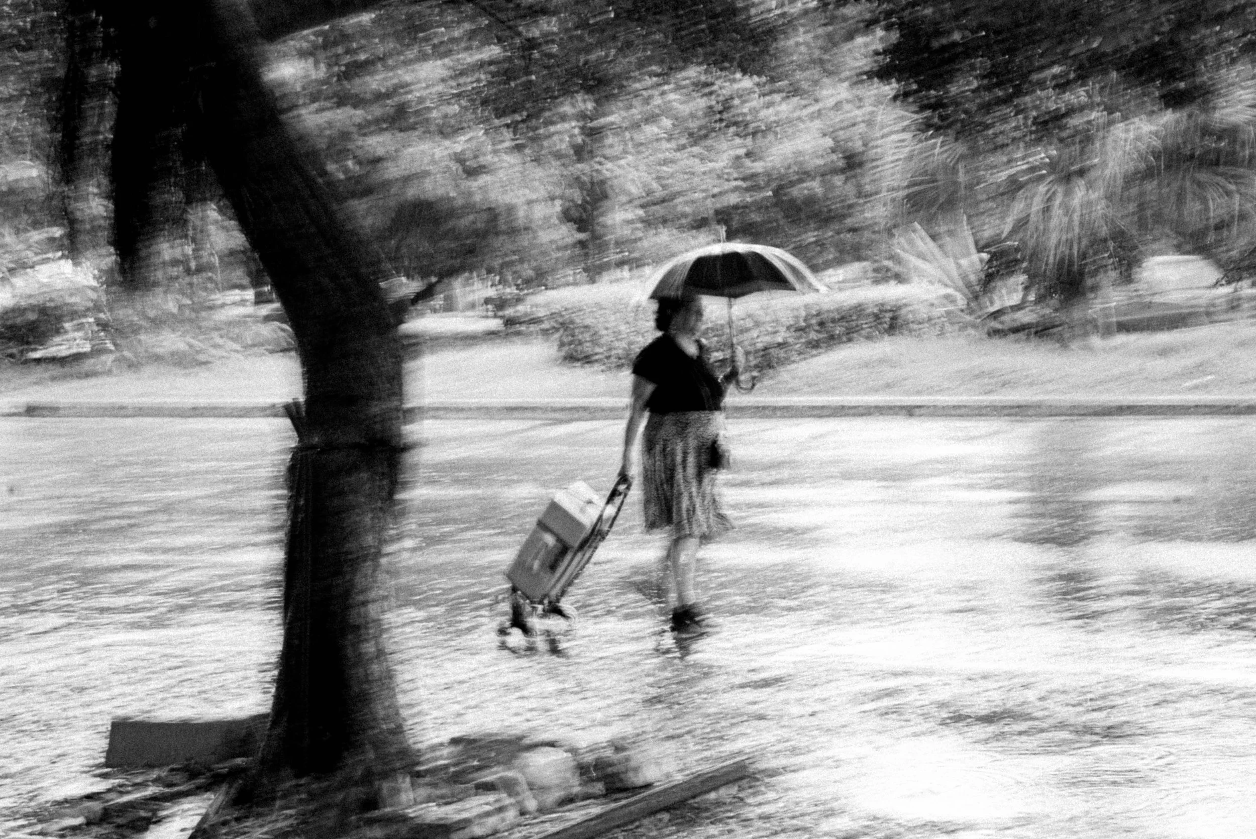 Yasmin Essafi, Afternoon Rain, 2024