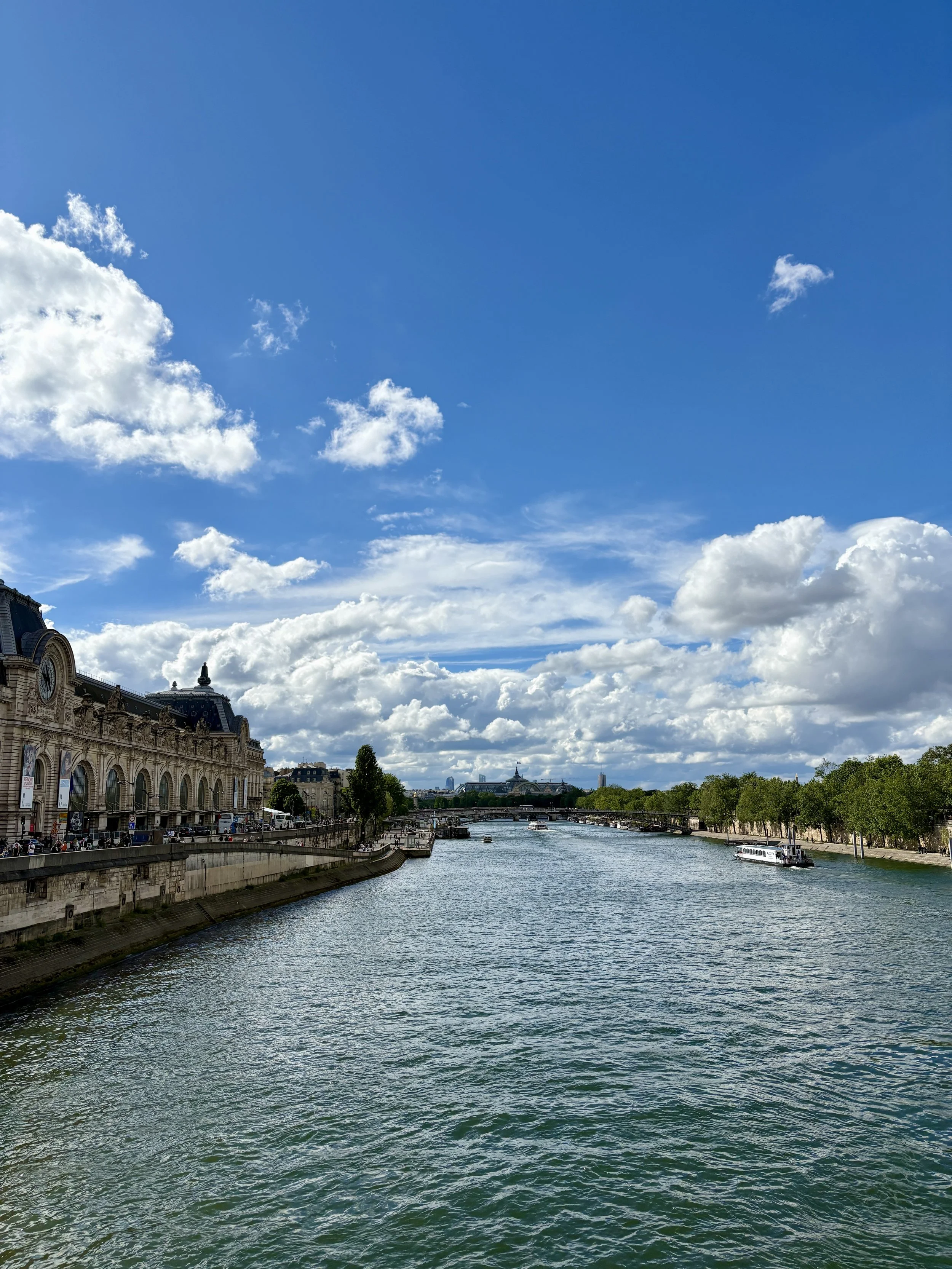 La Seine -- Rive Gauche.jpg