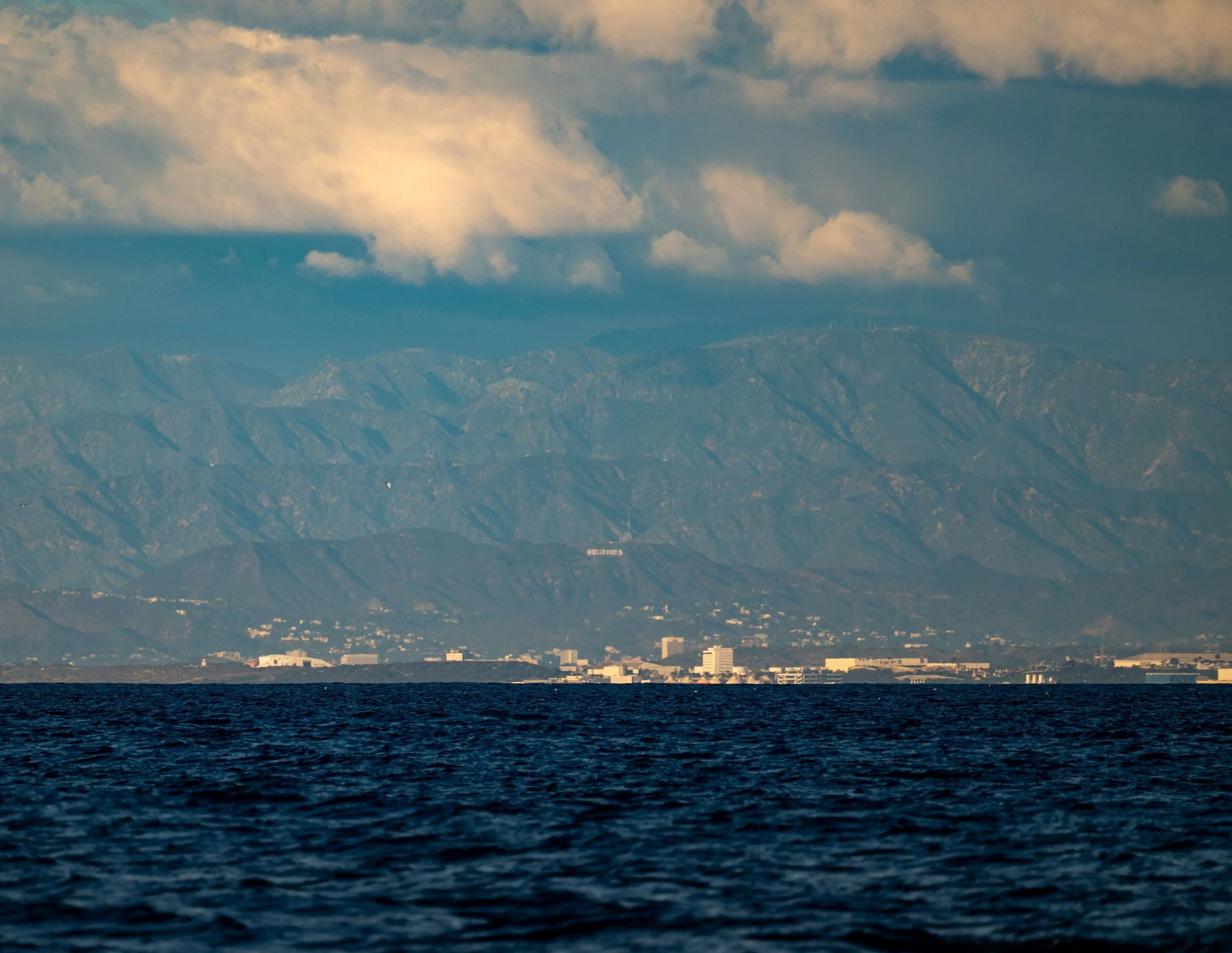 DSC_6676.jpg