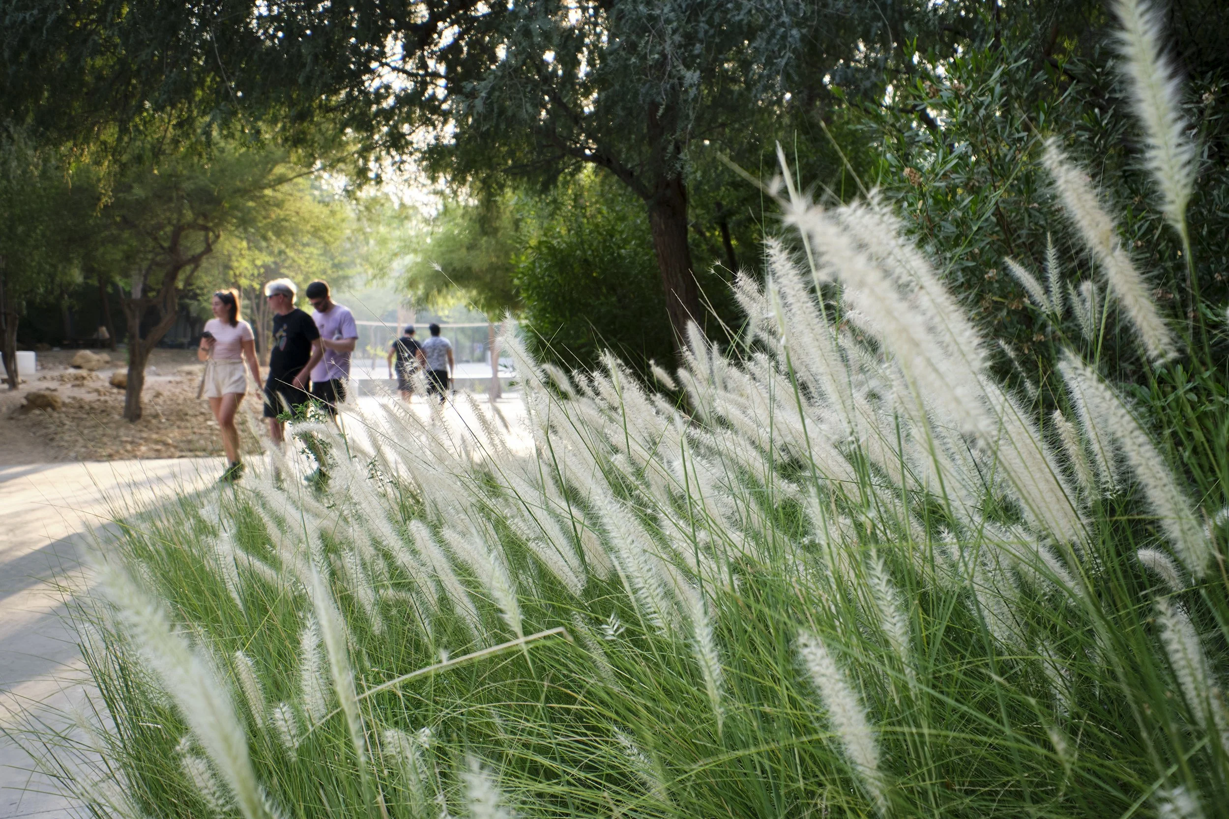 24-06-18 - Al Fay Park - SLA - 1398.jpg