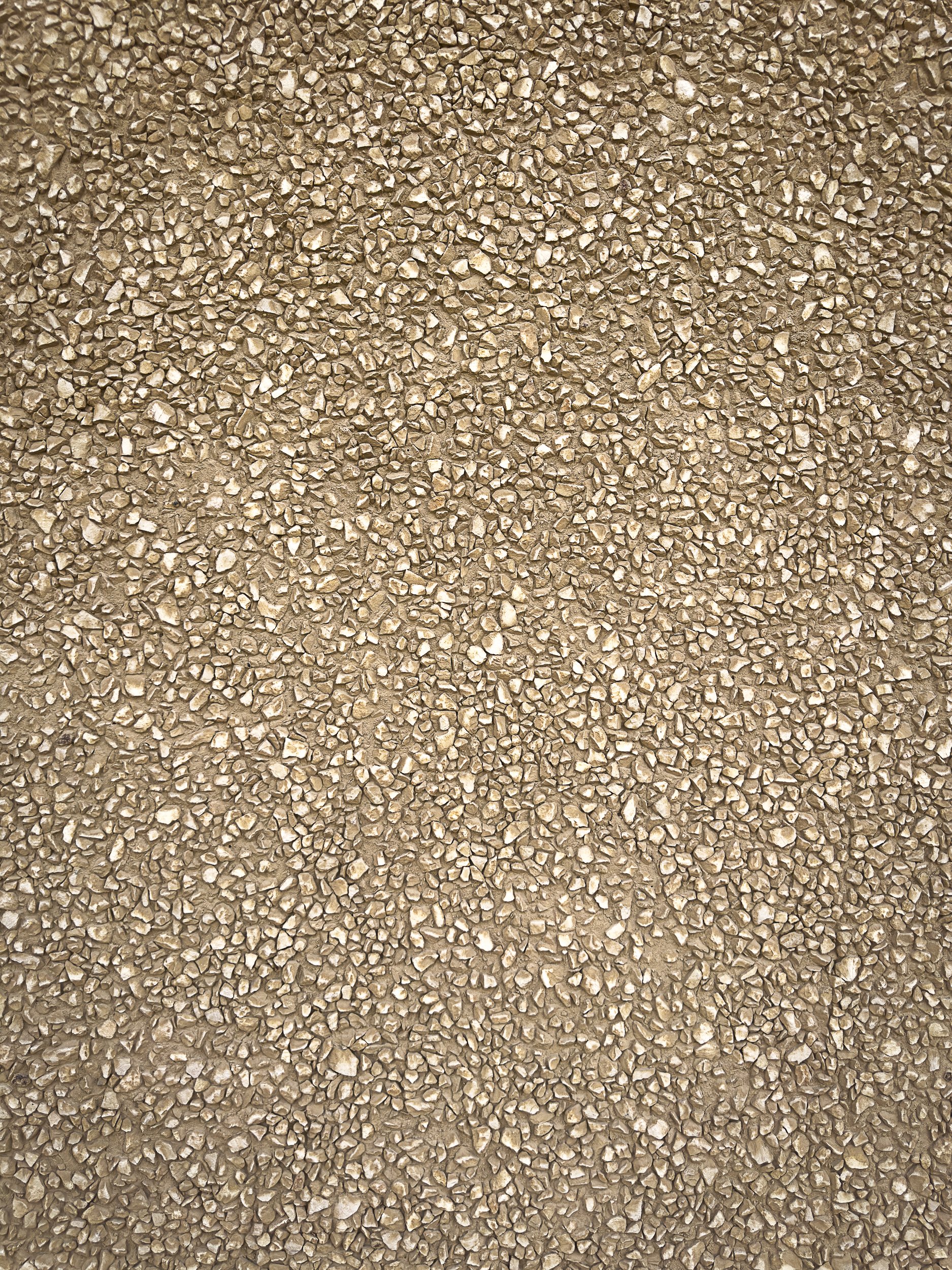 Family Development Foundation - 15.jpg