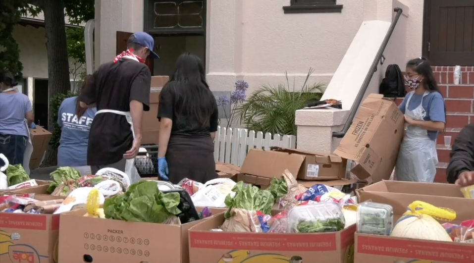 Resilience Institute