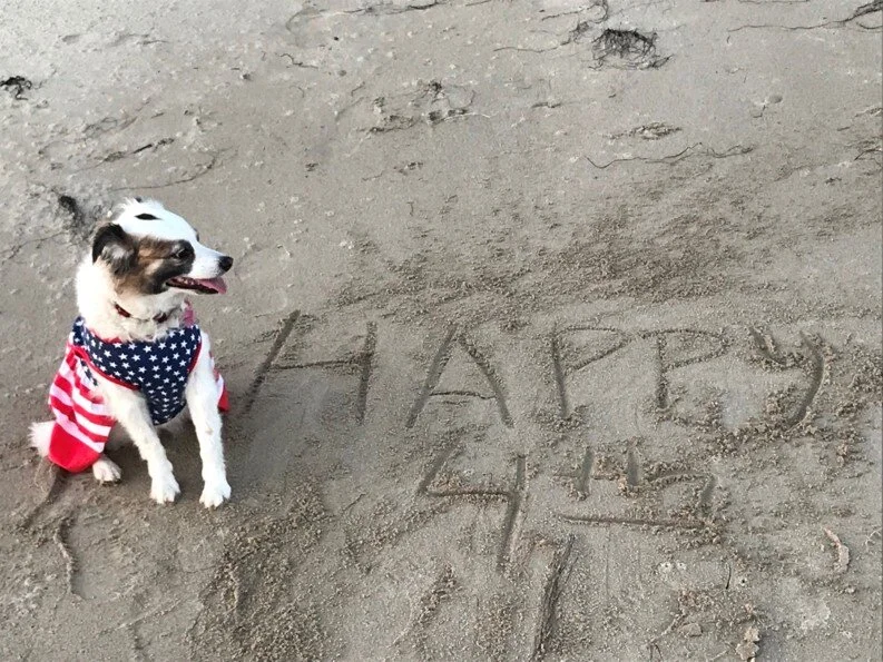 &nbsp;Feliz&nbsp;4 De&nbsp;Julio