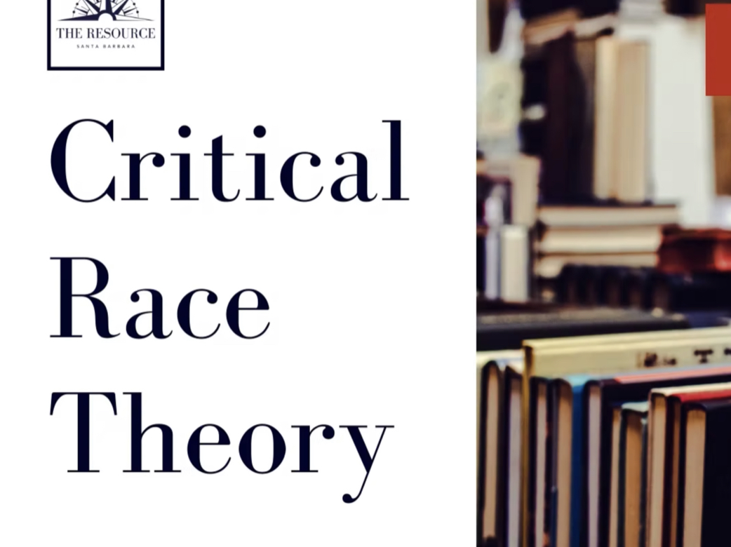 Teoría Crítica de la Raza con Anna Everett