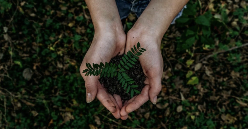 ¡Feliz día de la Tierra!