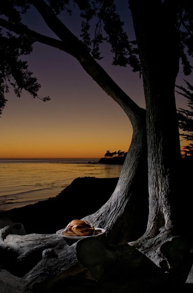 Boletín de Información | 19 de Noviembre, 2022