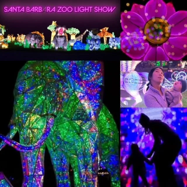 Newsletter | December 18, 2022