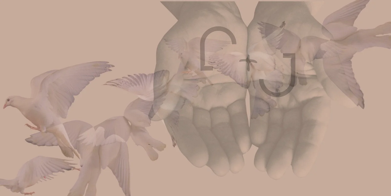 Ley Sin Límites: Conferencia de Paz y Justicia