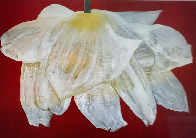 Camino De Arte En Santa Bárbara