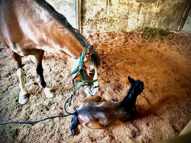 Newsletter | 5.17.2024