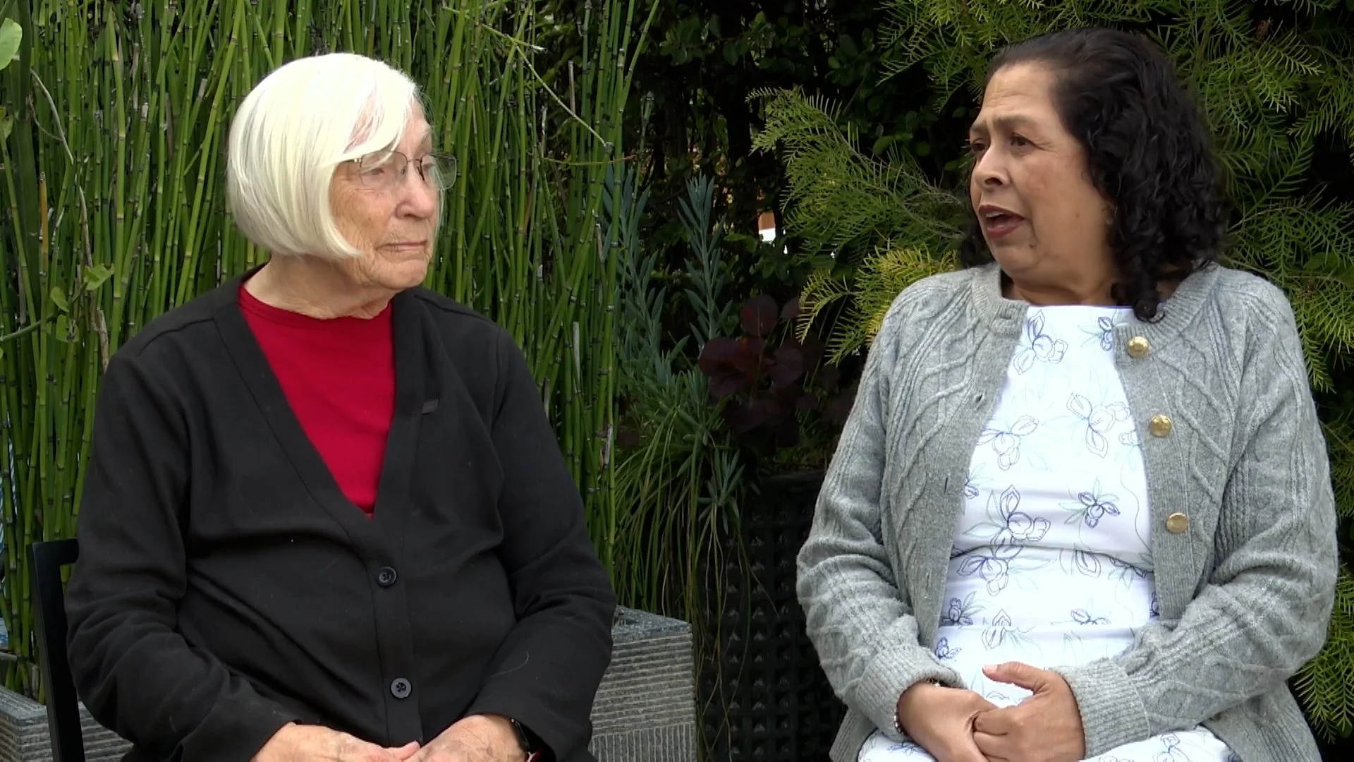 Supporting Survivors - Elsa Granados