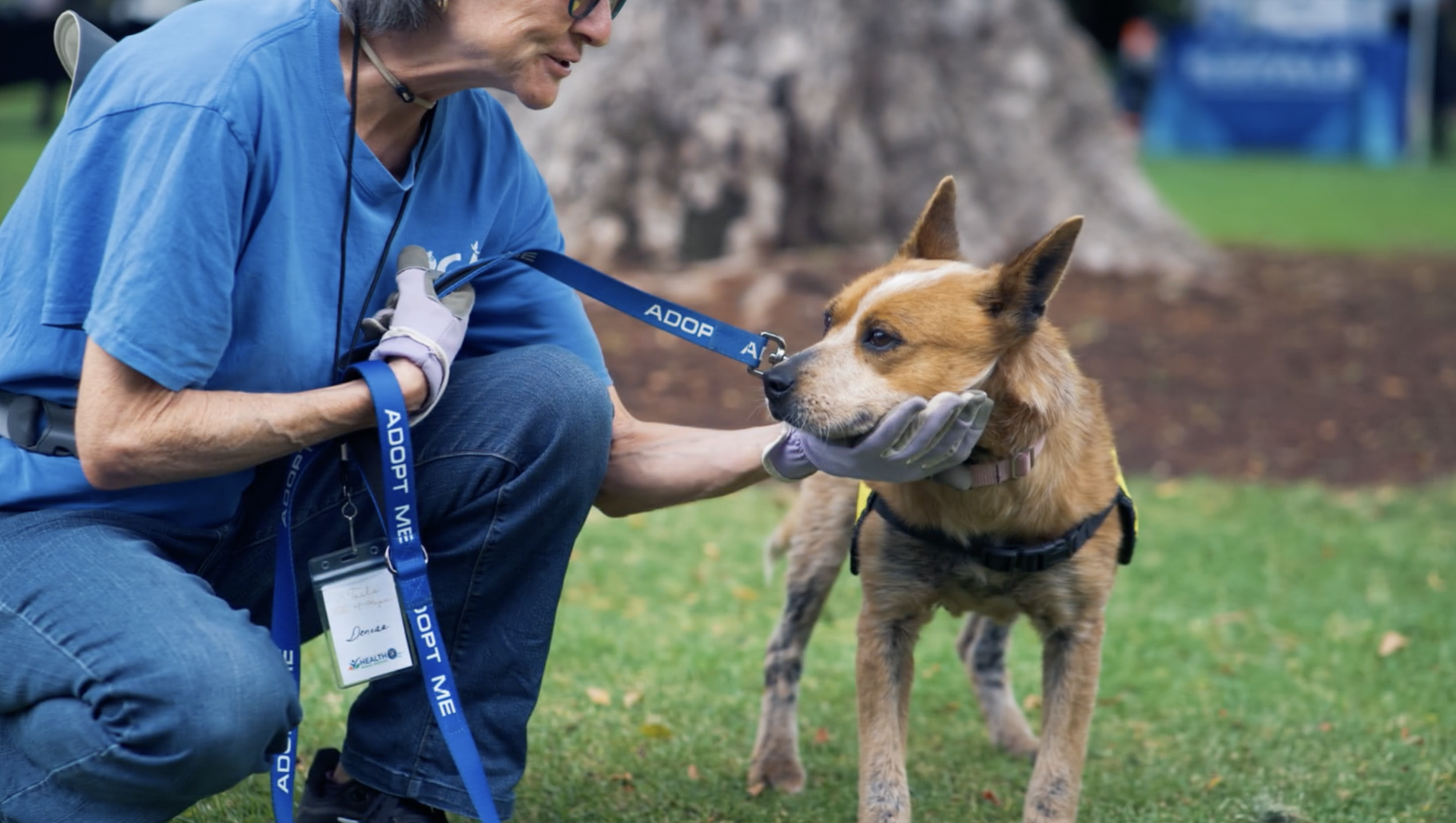 Tails of Hope