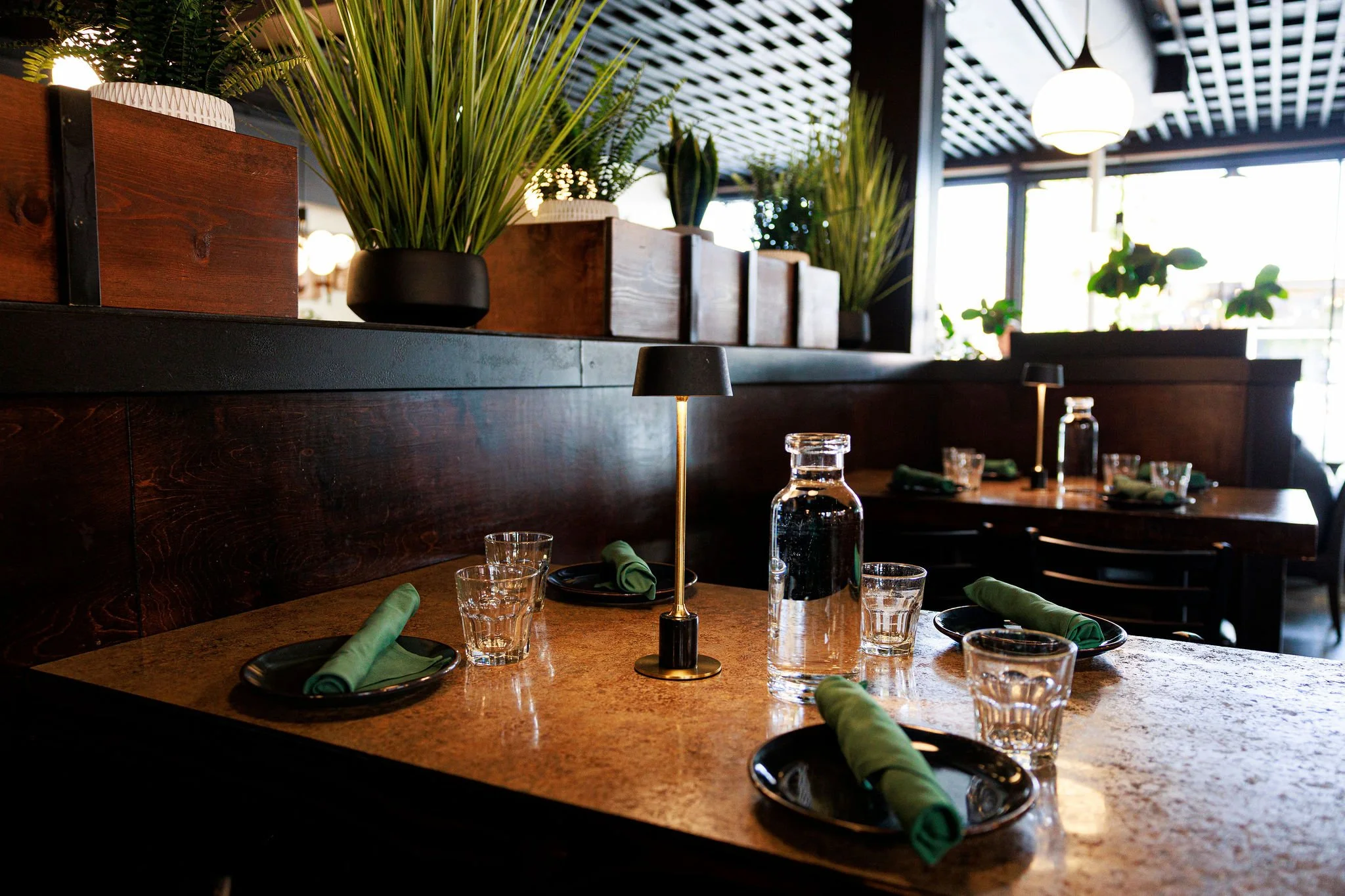 Restaurant table set with glasses, black plates with green cloth napkins, a water pitcher, and a lamp, with potted plants and windows in the background.