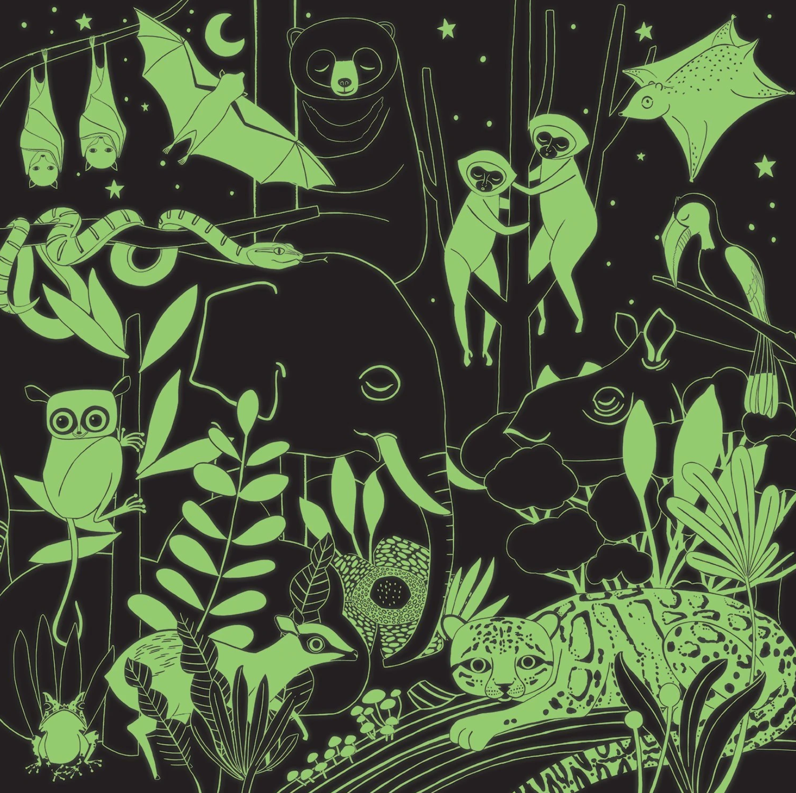 jungle illuminated 3.png