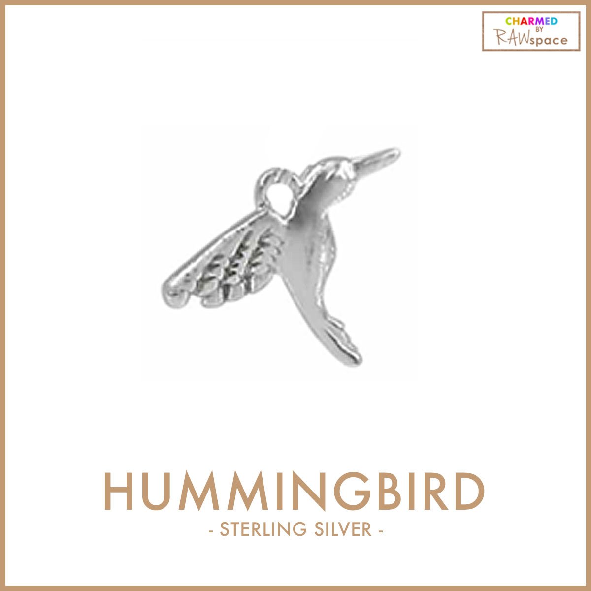 RAWspace_Hummingbird.jpg