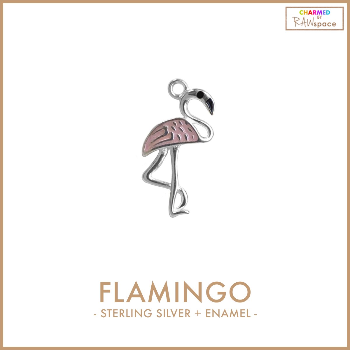 RAWspace_Flamingo.jpg