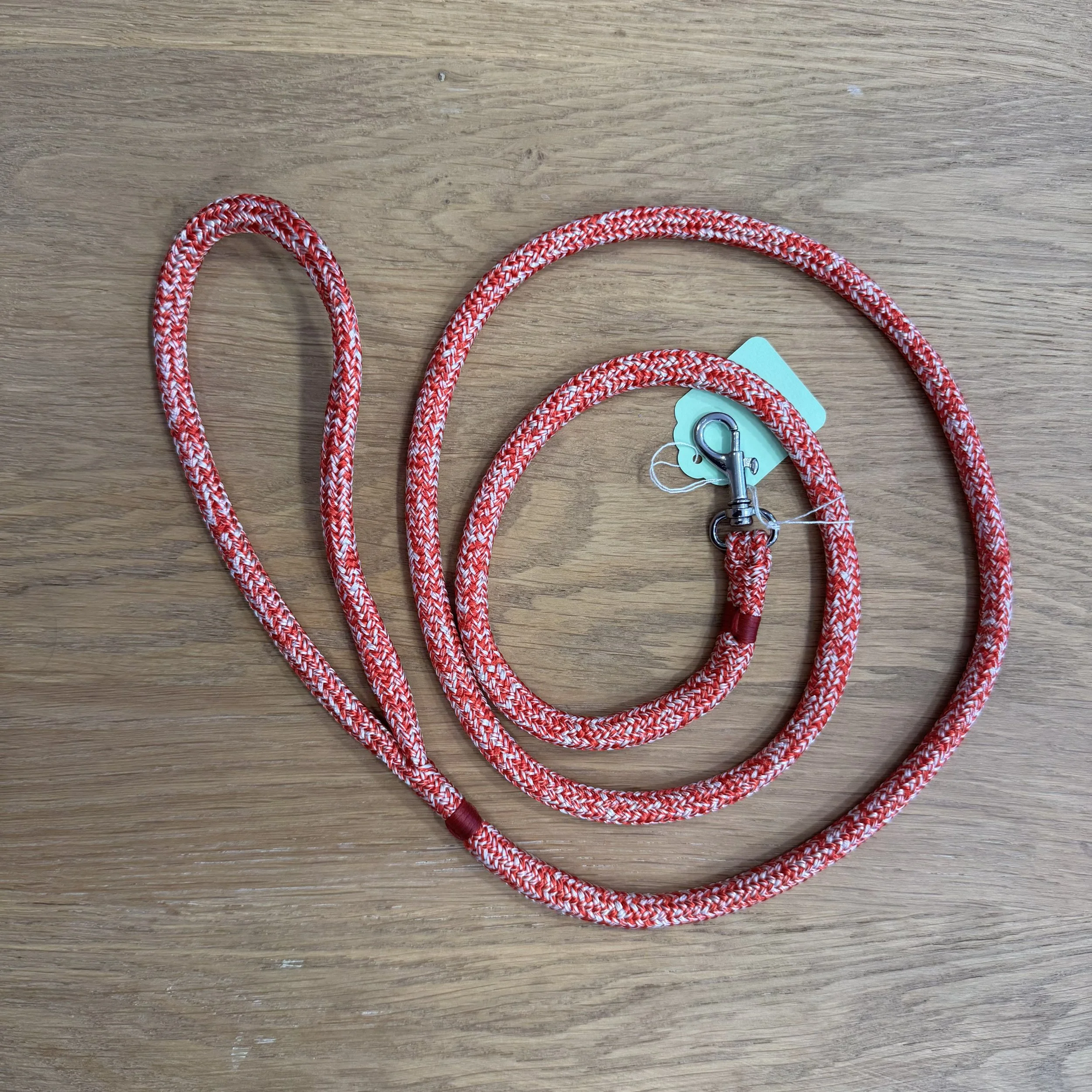Red and White Puppy Lead