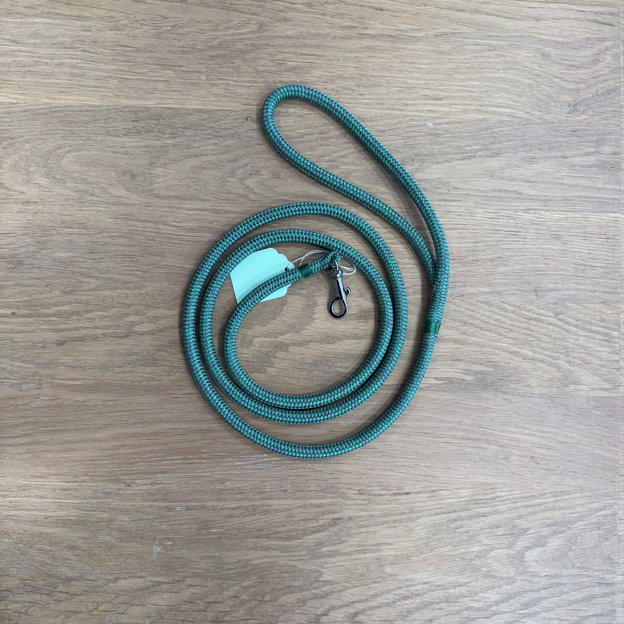 Green and Grey Puppy Lead