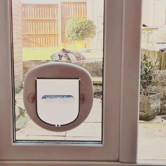 Cat Flaps in Glass — Samuel Charles Glass & Glazing Southampton