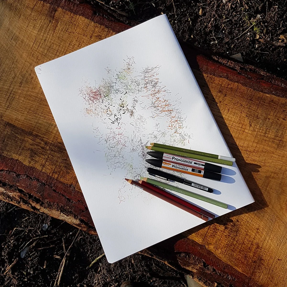Walking and drawing at Wheatfen