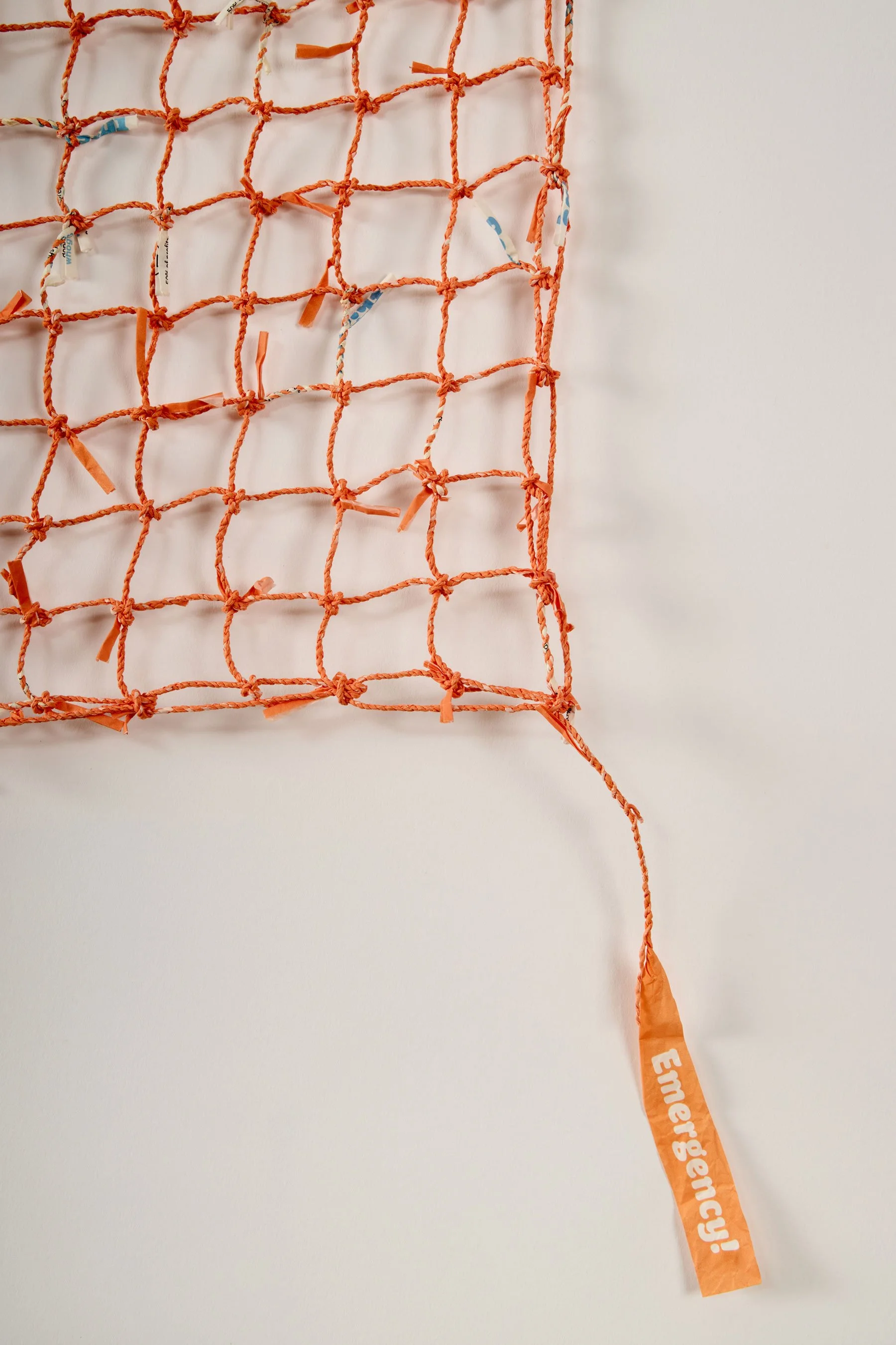 No Planet B (detail)