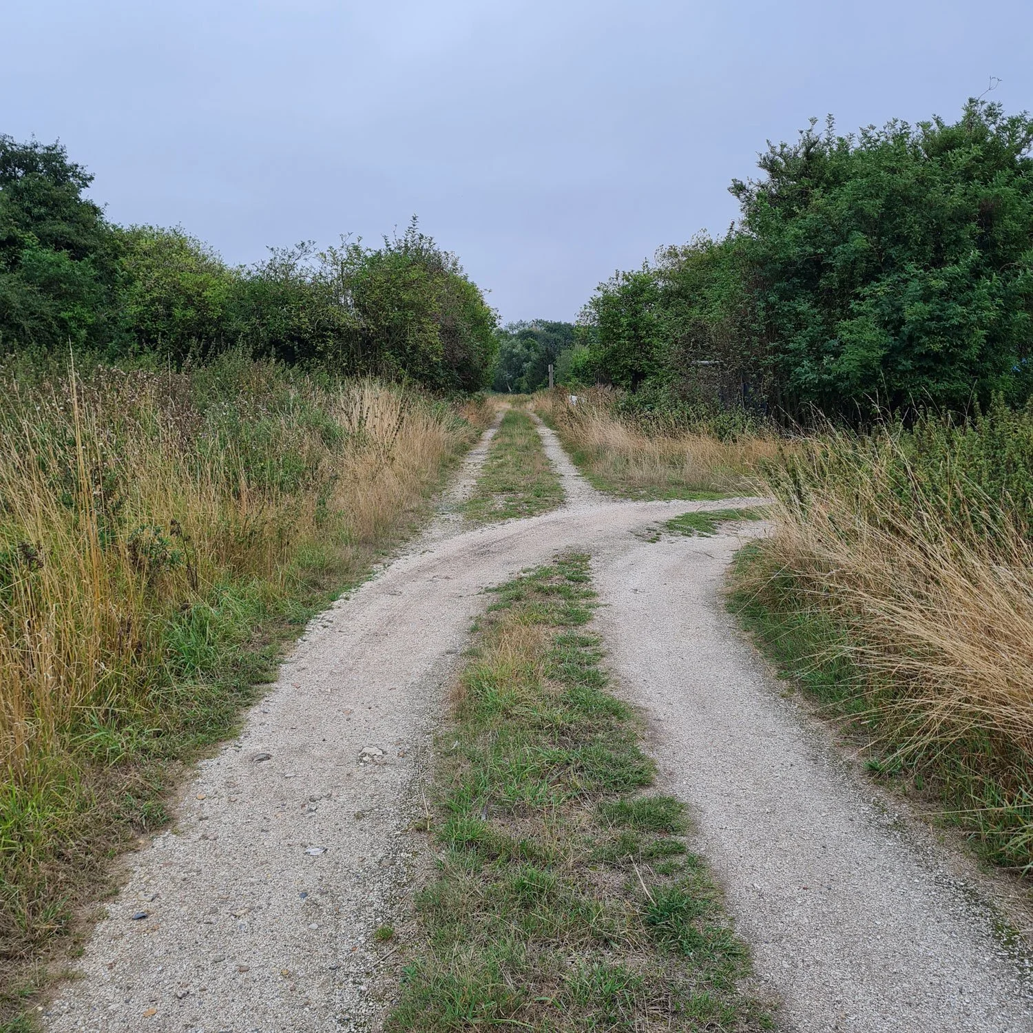 Ropewalk_6.jpg