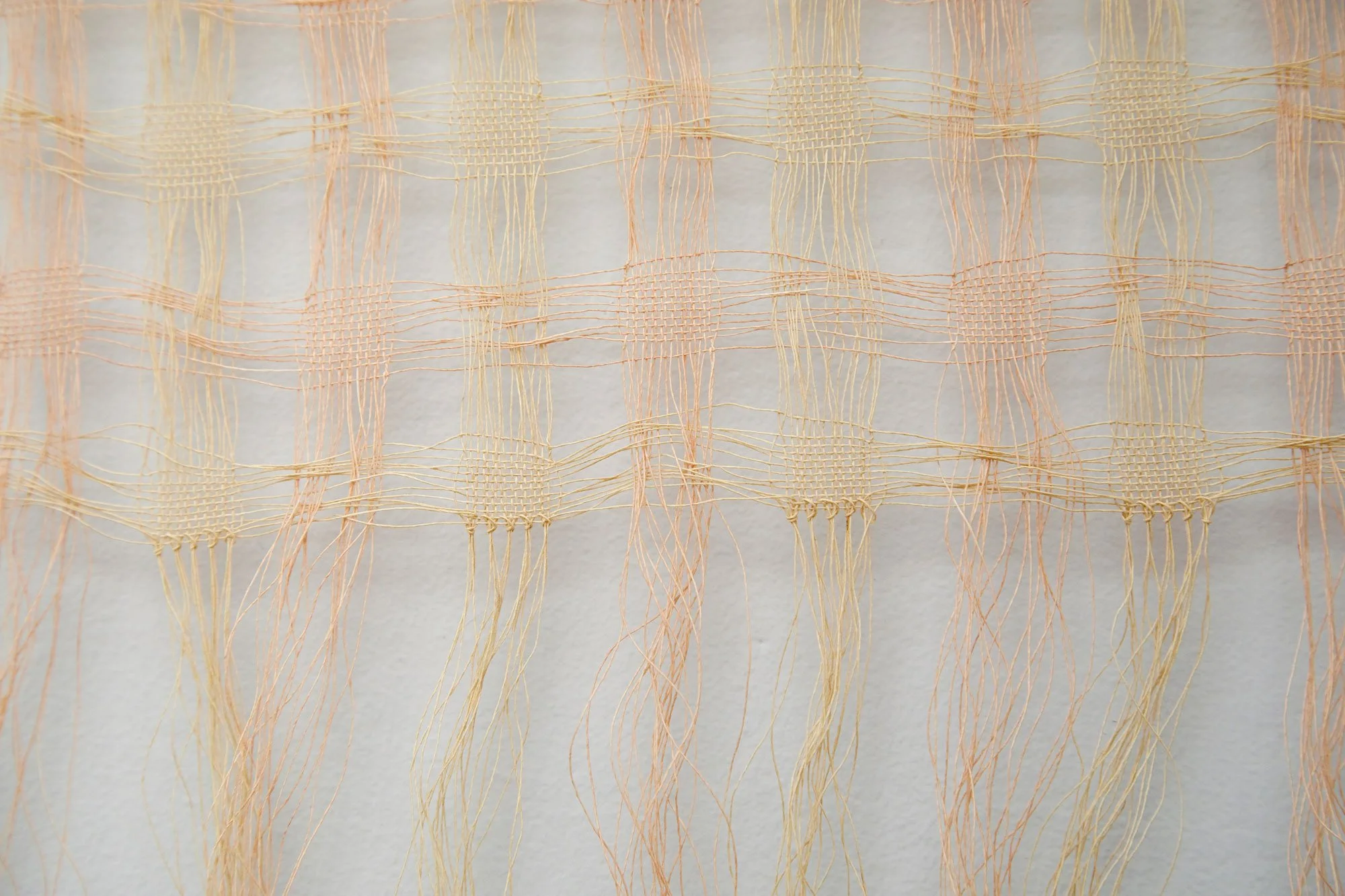 Walking Wheatfen Winter, 2019 (detail)