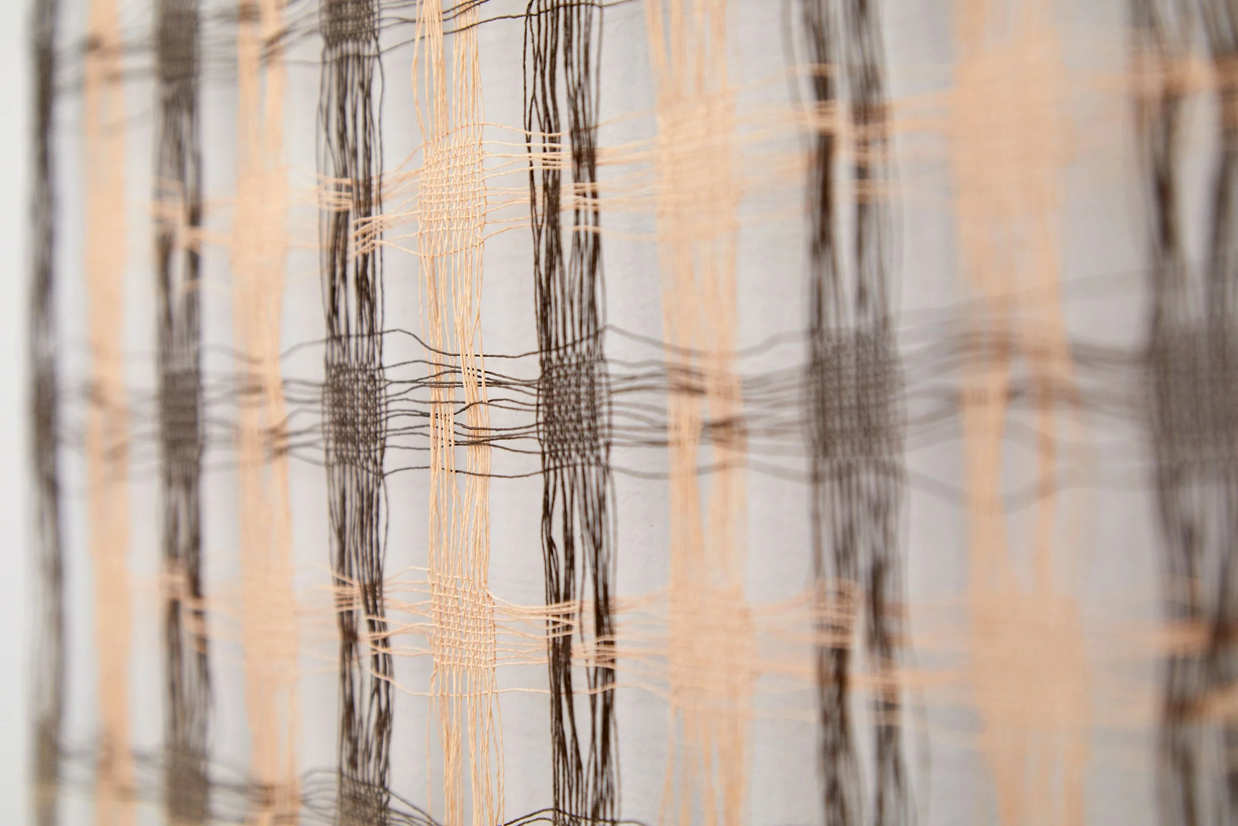 Walking Wheatfen Winter, 2019 (detail)