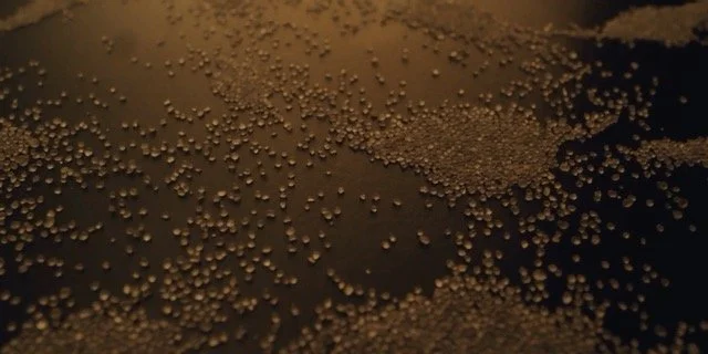 longversion_16_9_a_withsubs_logooutro_00000100 - Moyenne.jpeg