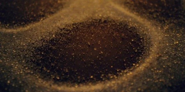 longversion_16_9_a_withsubs_logooutro_00031802 - Moyenne.jpeg