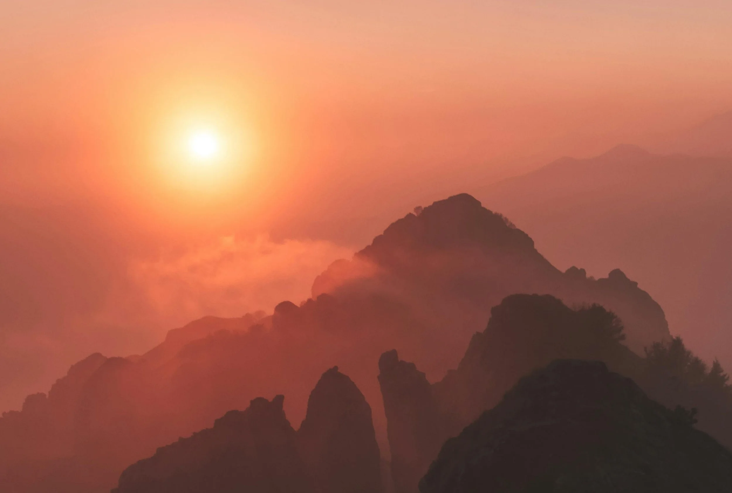 Living Free - Coming Home to the Heart