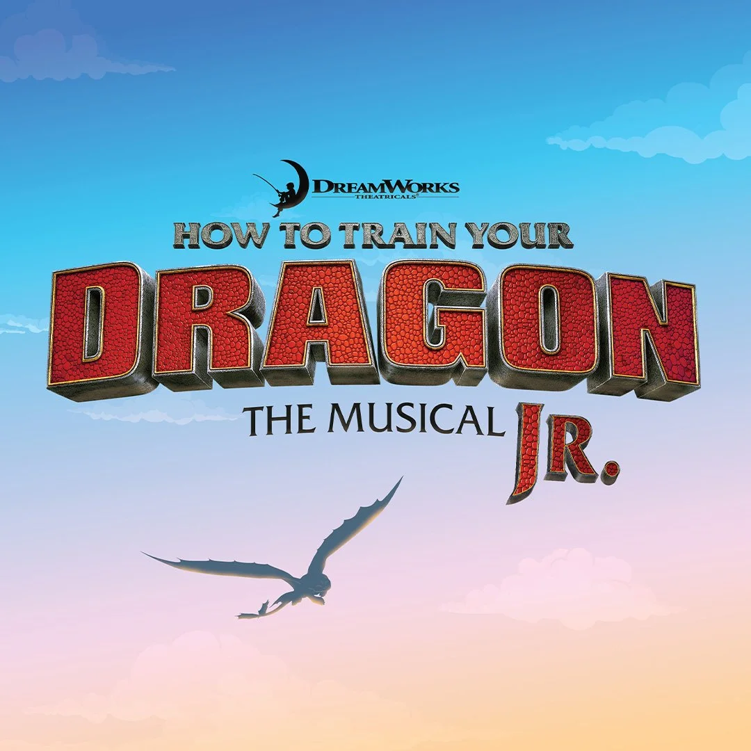 Good Wish How to Train Your Dragon Jr.