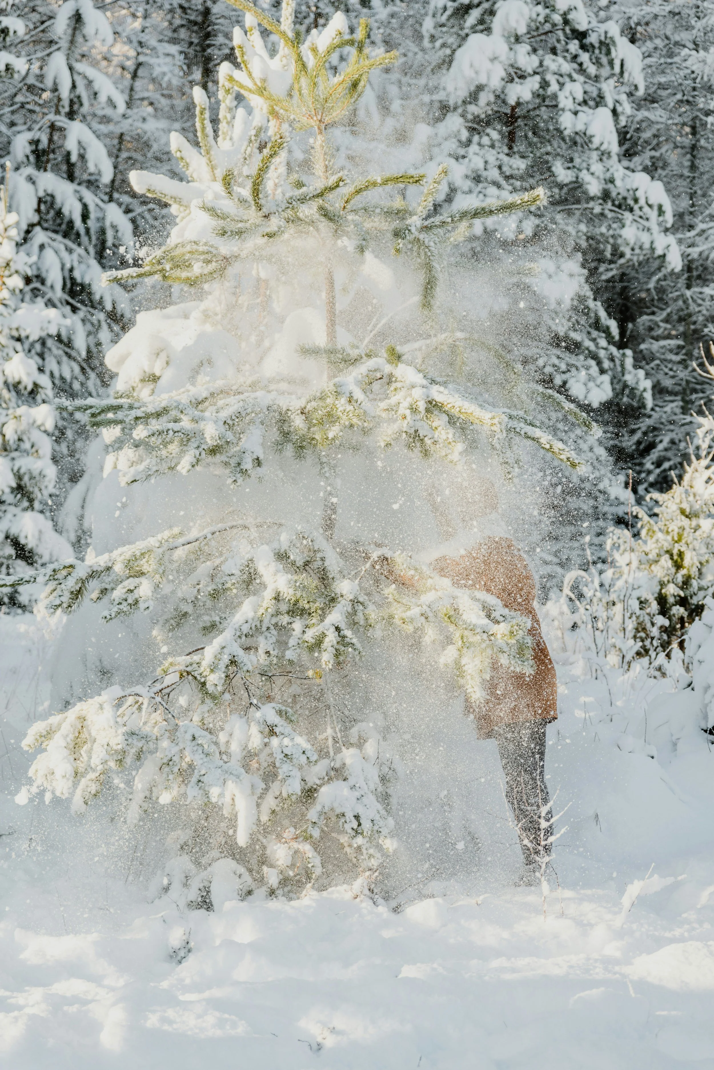 A More Meaningful Way Forward for the Year to Come