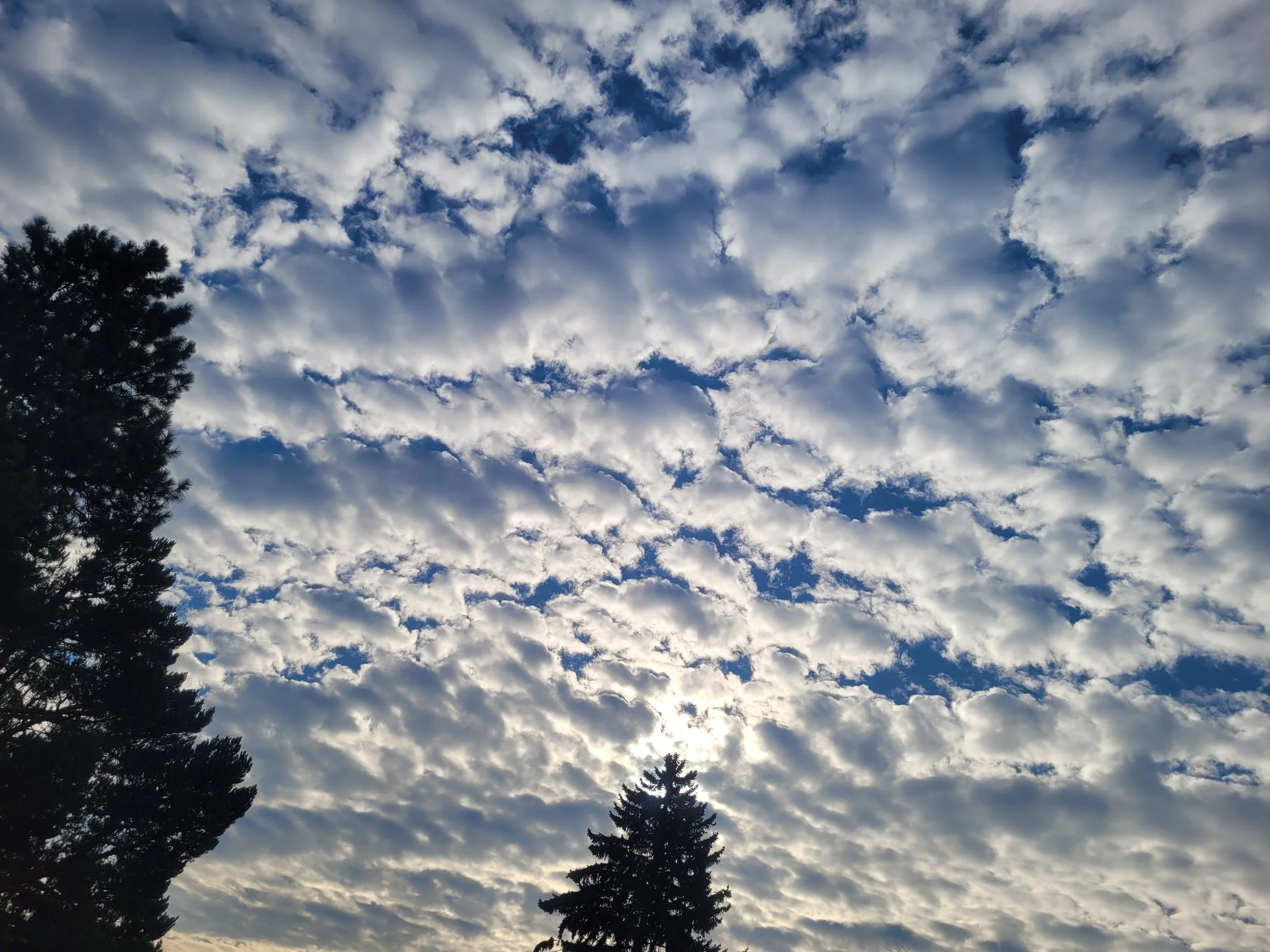 A Therapist’s Perspective on Growth, Therapy, and Mental Health