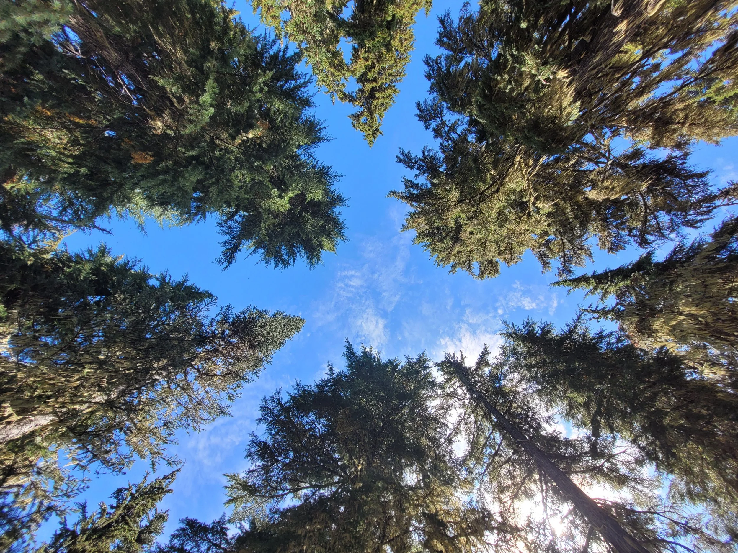 Staying Engaged Without Burning Out