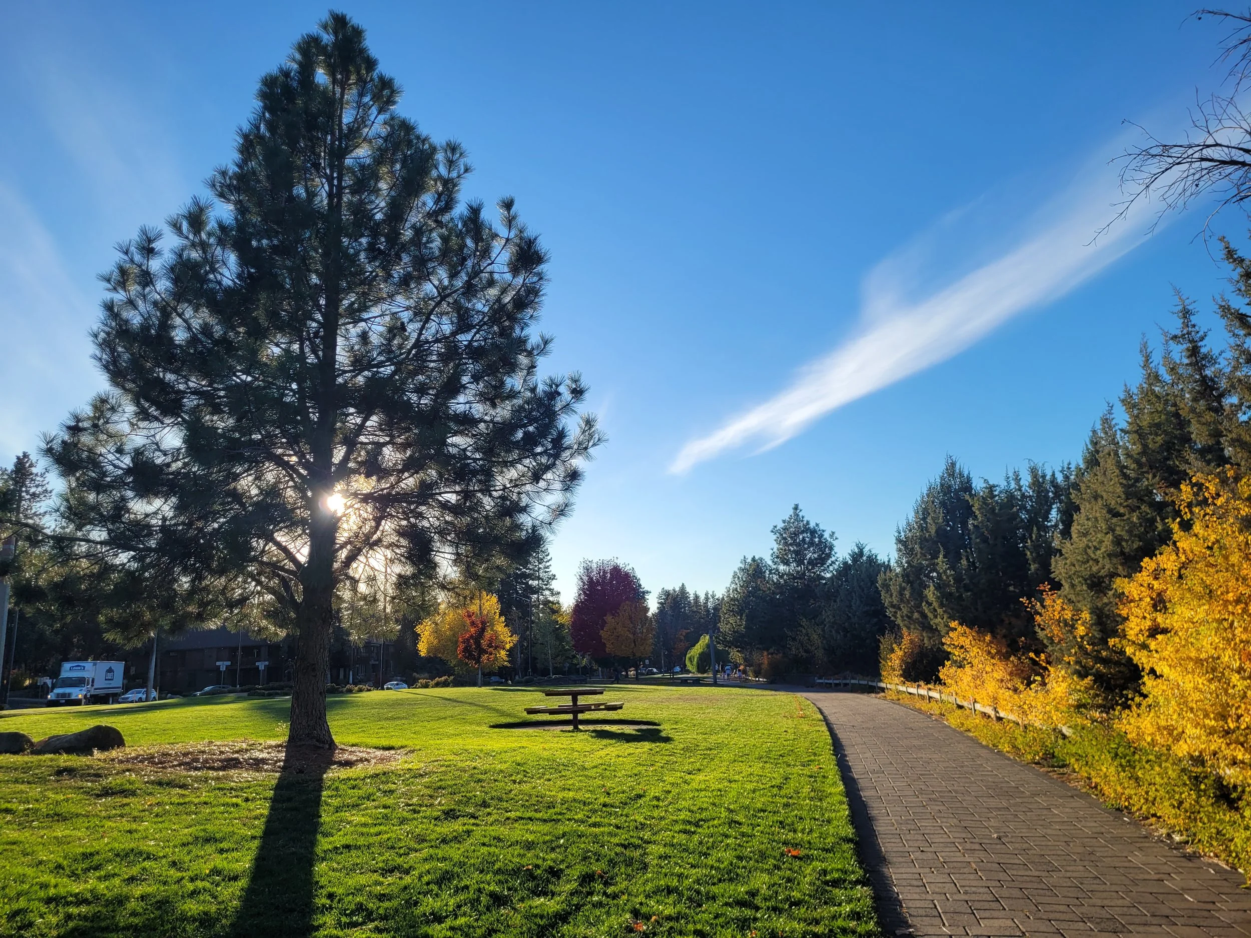 Growing Toward the Light