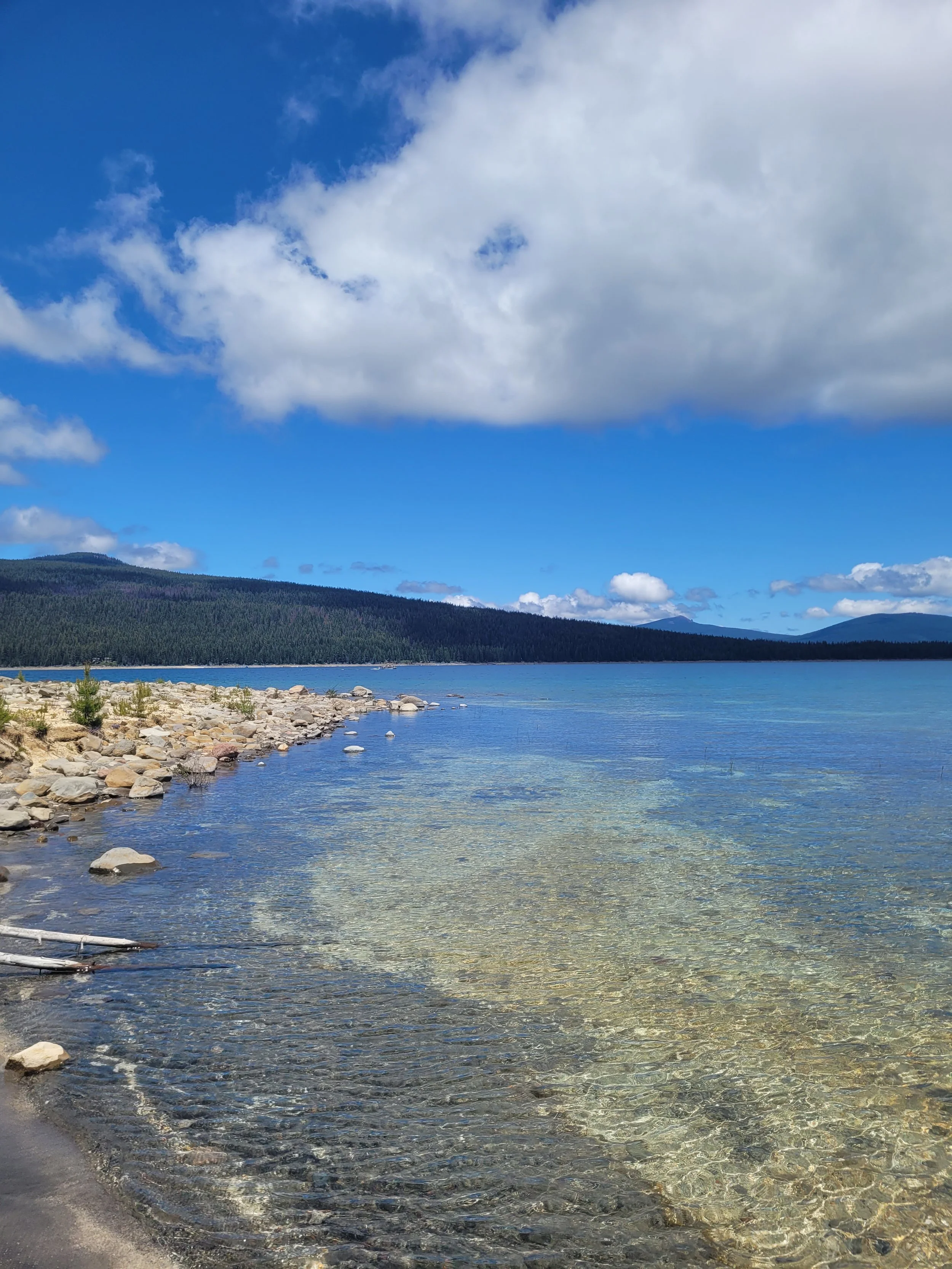 Maybe