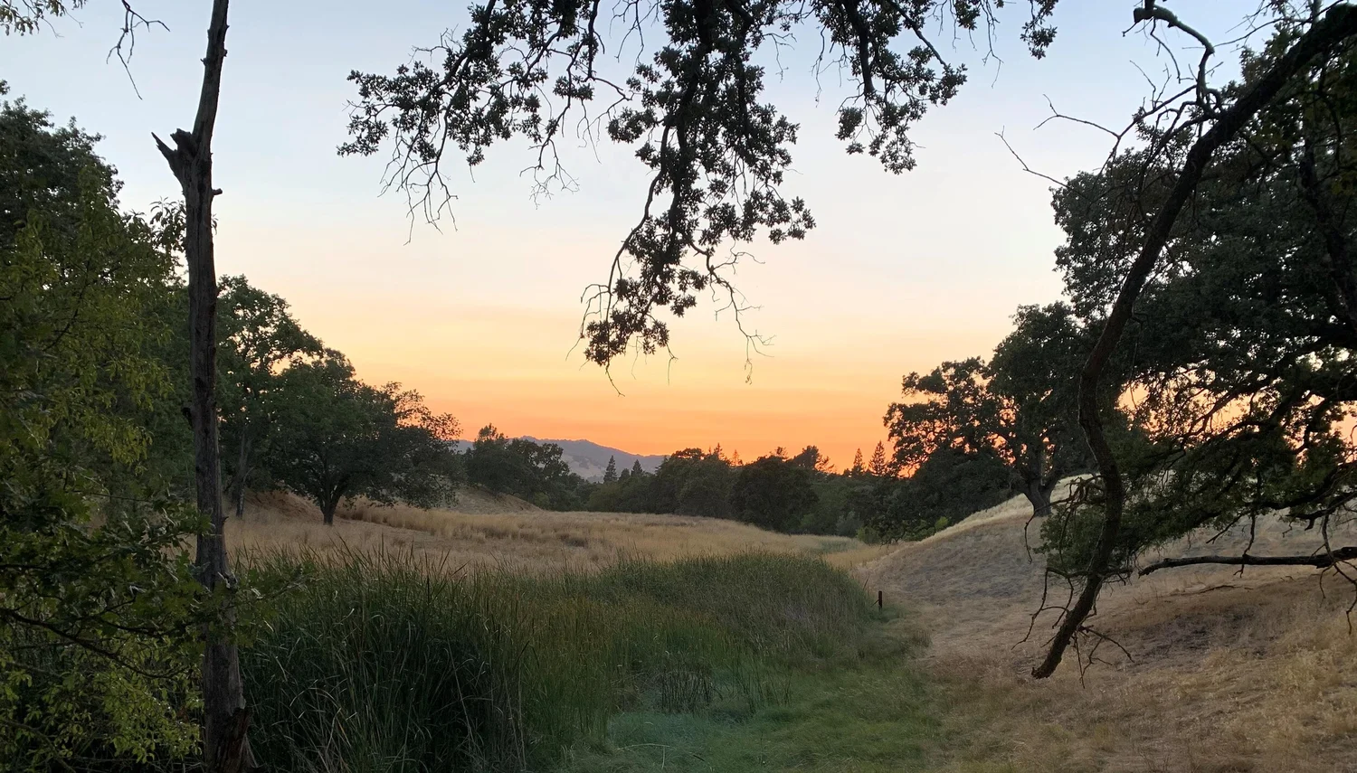 About The Property — Save Seven Hills Ranch