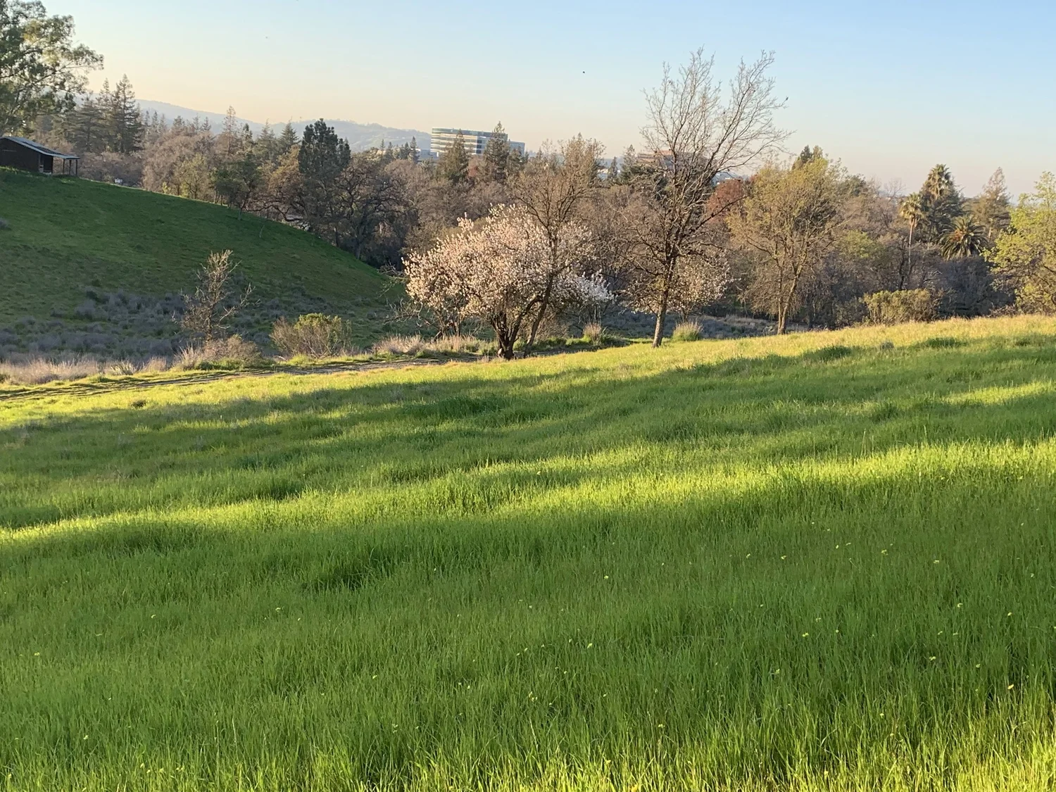 Photo Gallery Seven Hills Ranch — Save Seven Hills Ranch