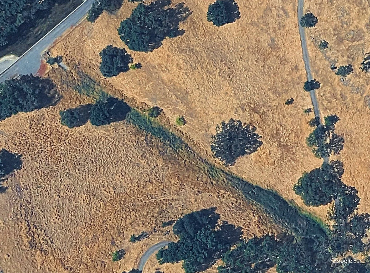 Seven Hills Ranch wetland BEFORE construction. 8'24 (Google Earth)