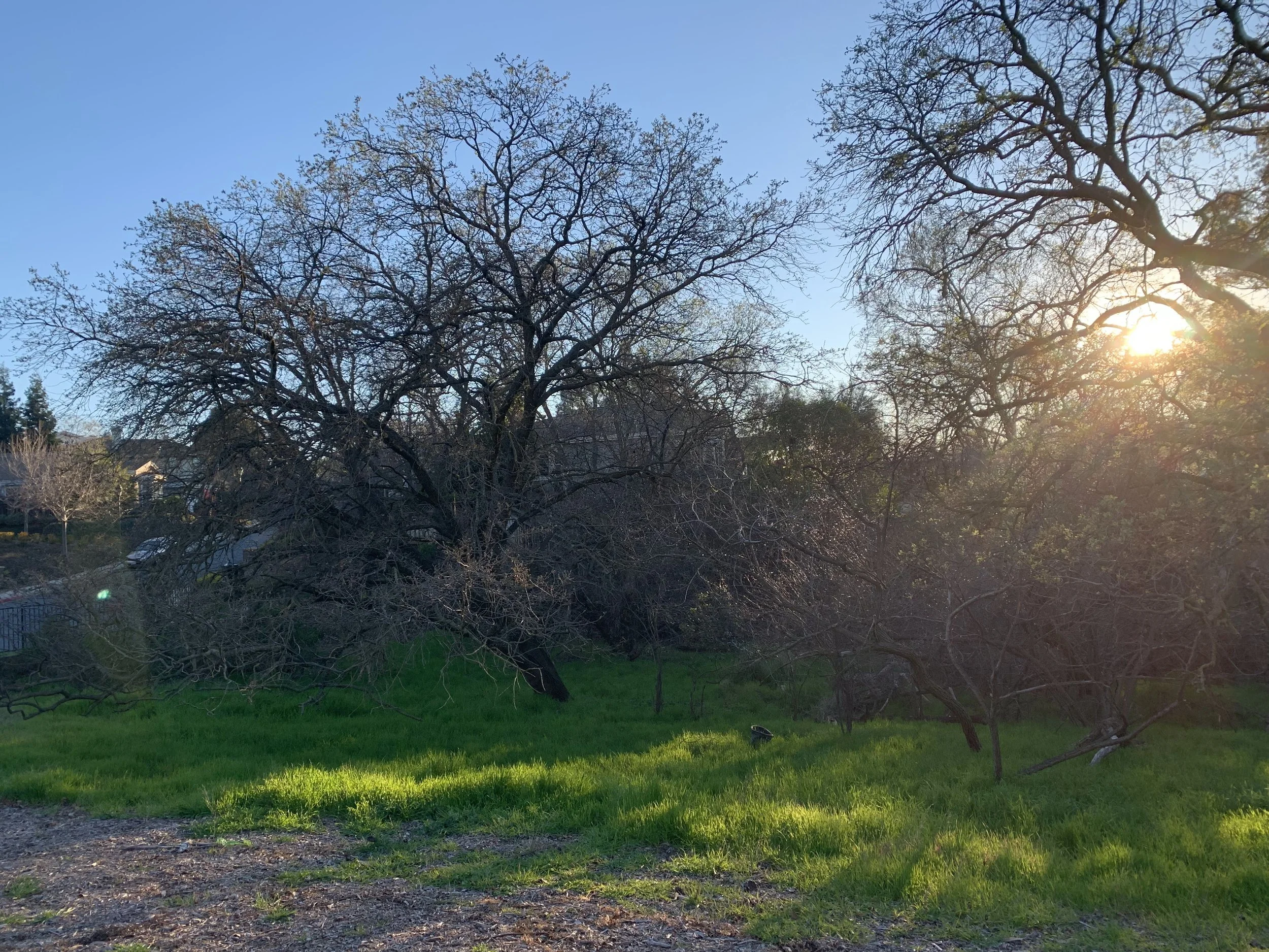 Photo Gallery Seven Hills Ranch — Save Seven Hills Ranch