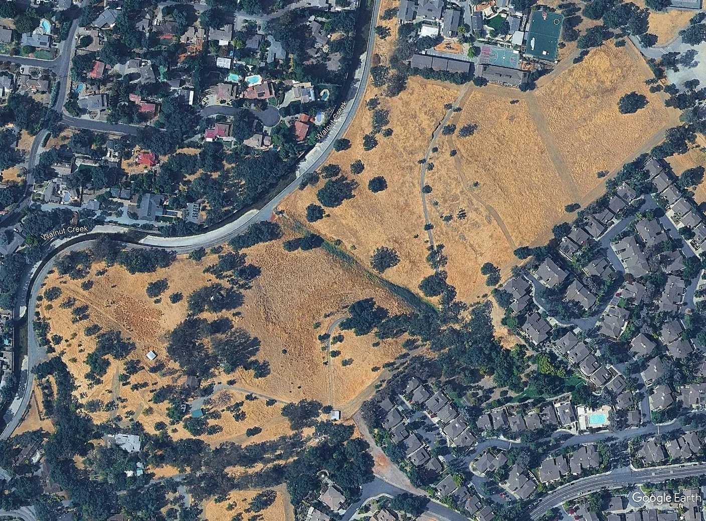 Seven Hills Ranch, 30 hilly, pastoral acres dotted with 350 "protected" oaks, before destruction.  8'24 (Google Earth)