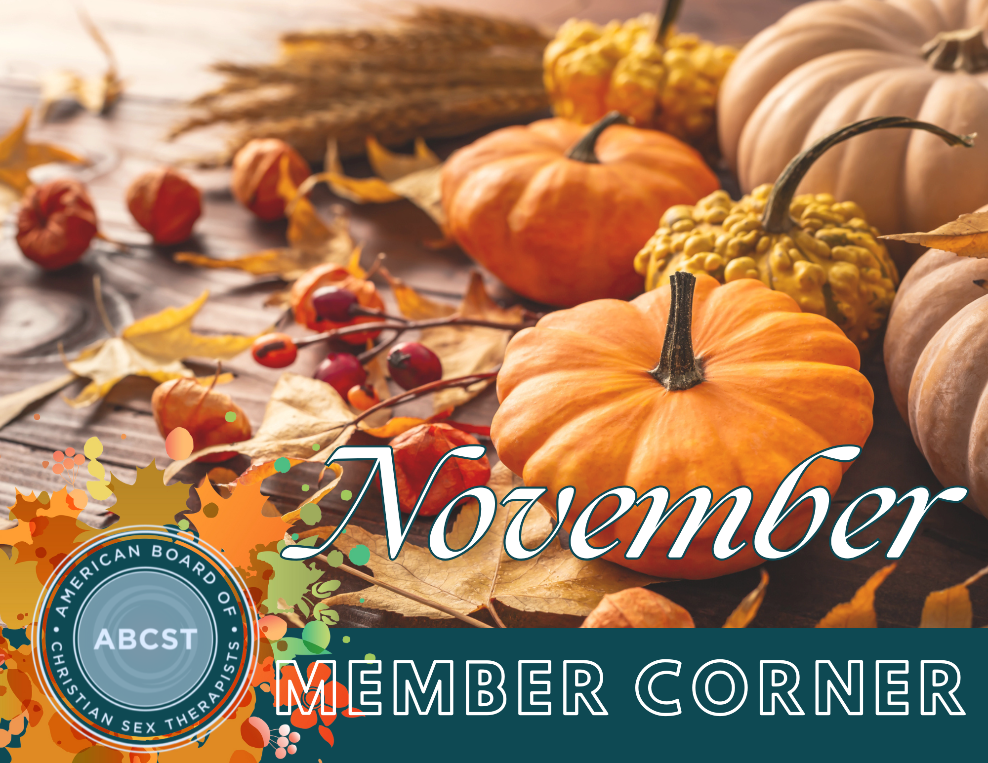 November Member Corner