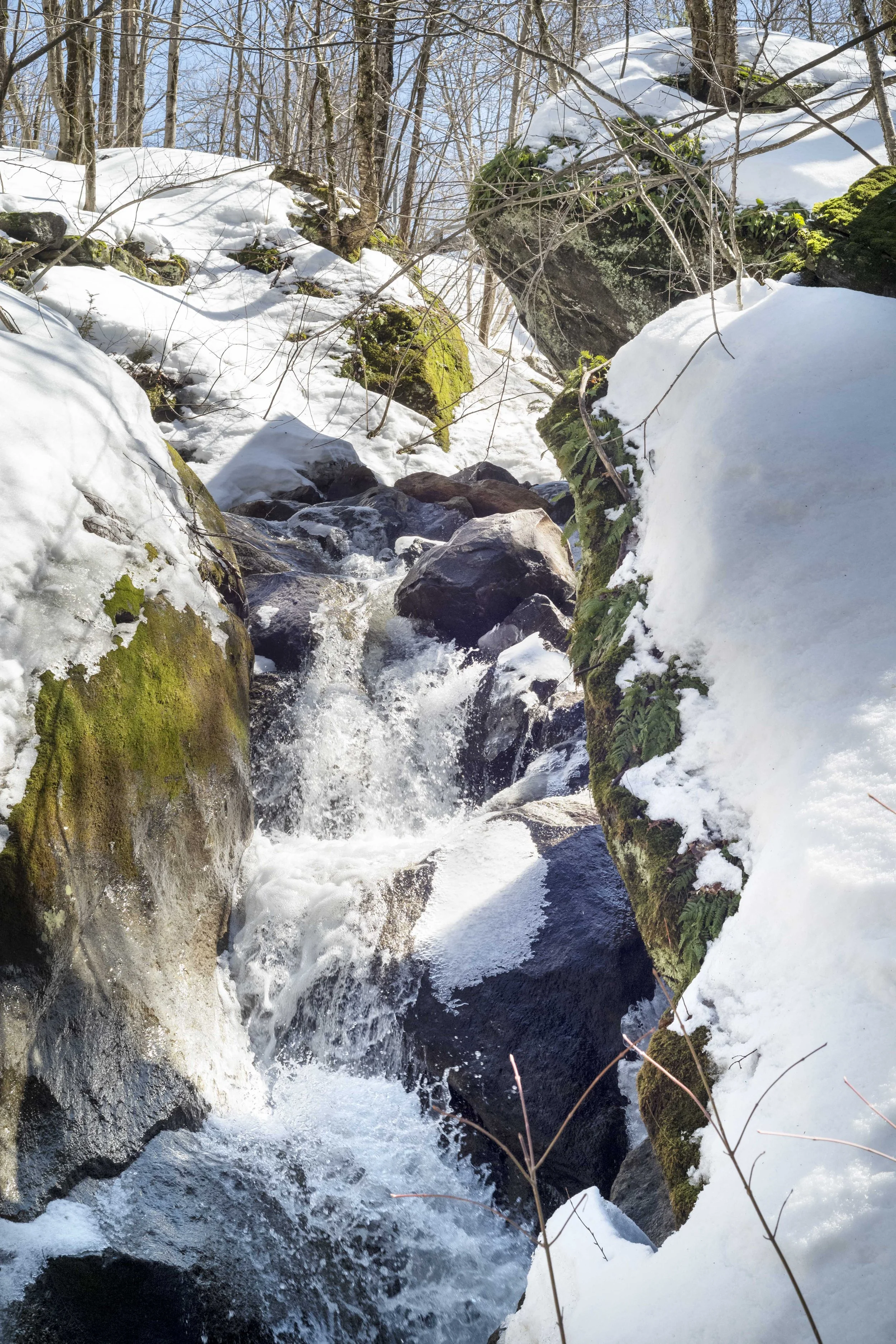 Westover Creek / Ruisseau Westover (2023)