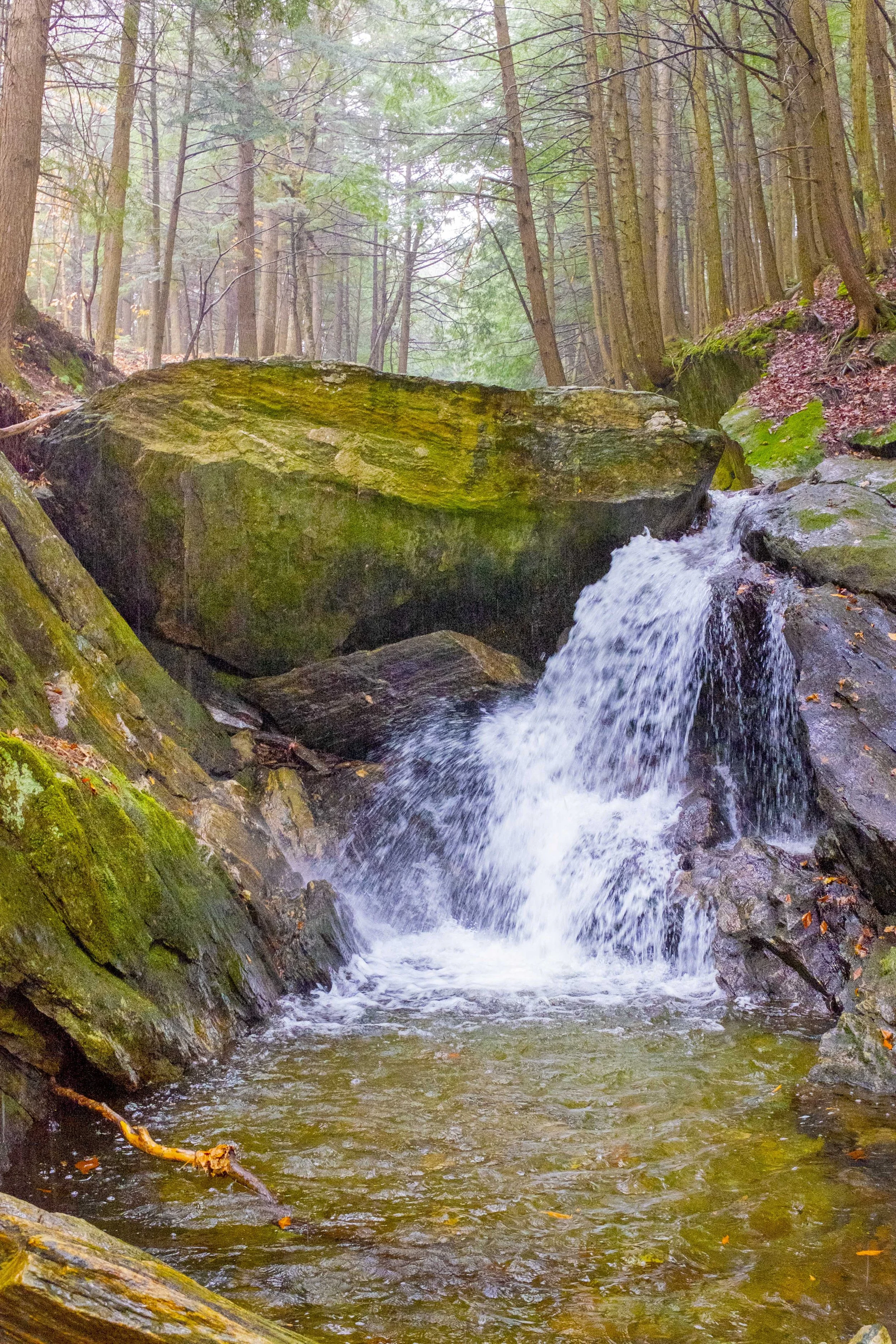 Jackson's Creek / Ruisseau de Jackson (2022)