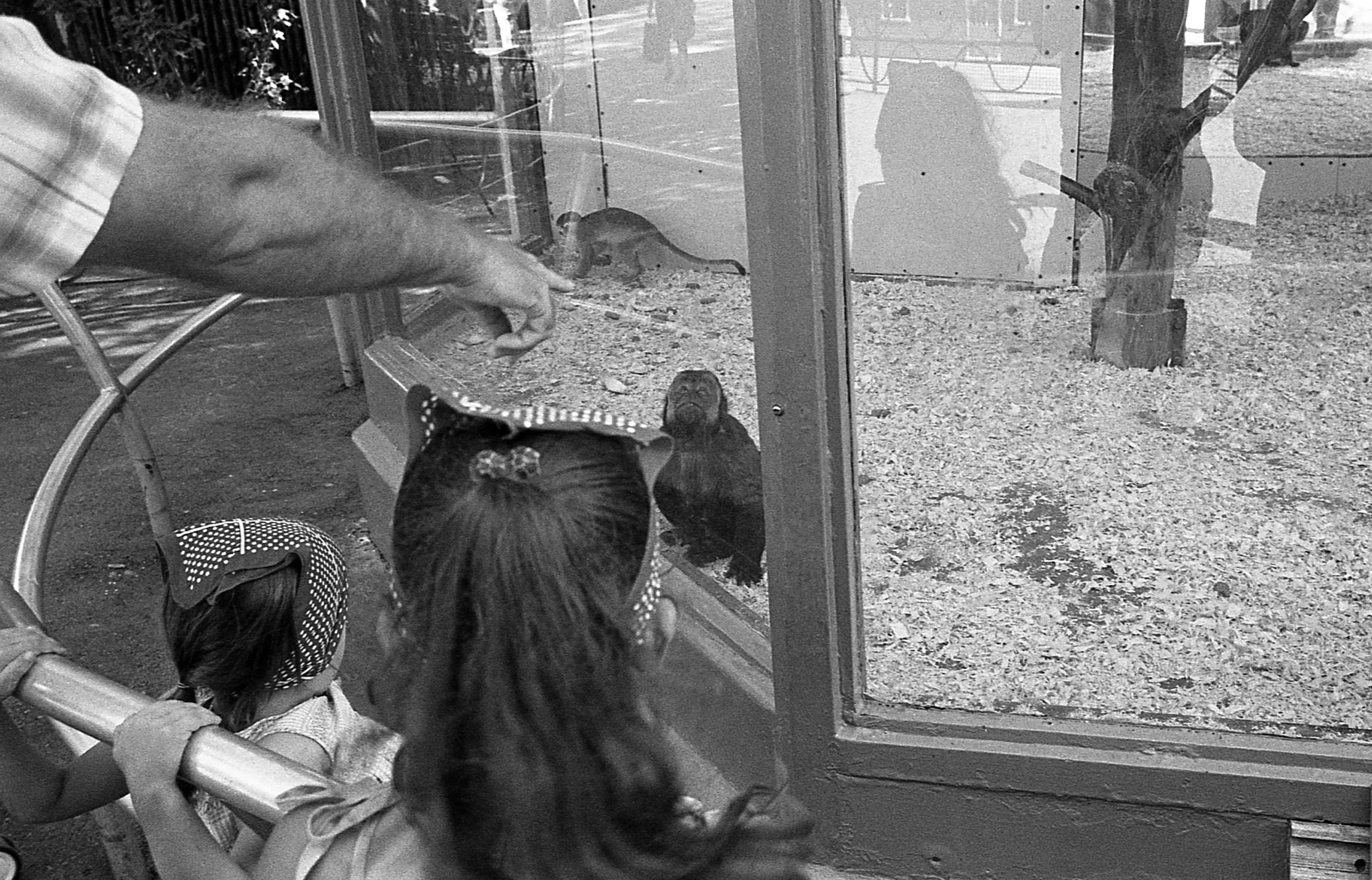 Jardin des Merveilles Montréaal - 1982