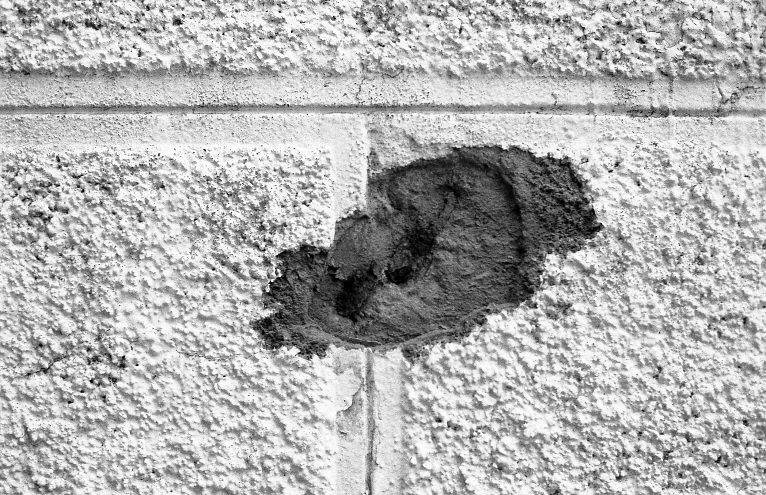 Wall / Mur (1979)