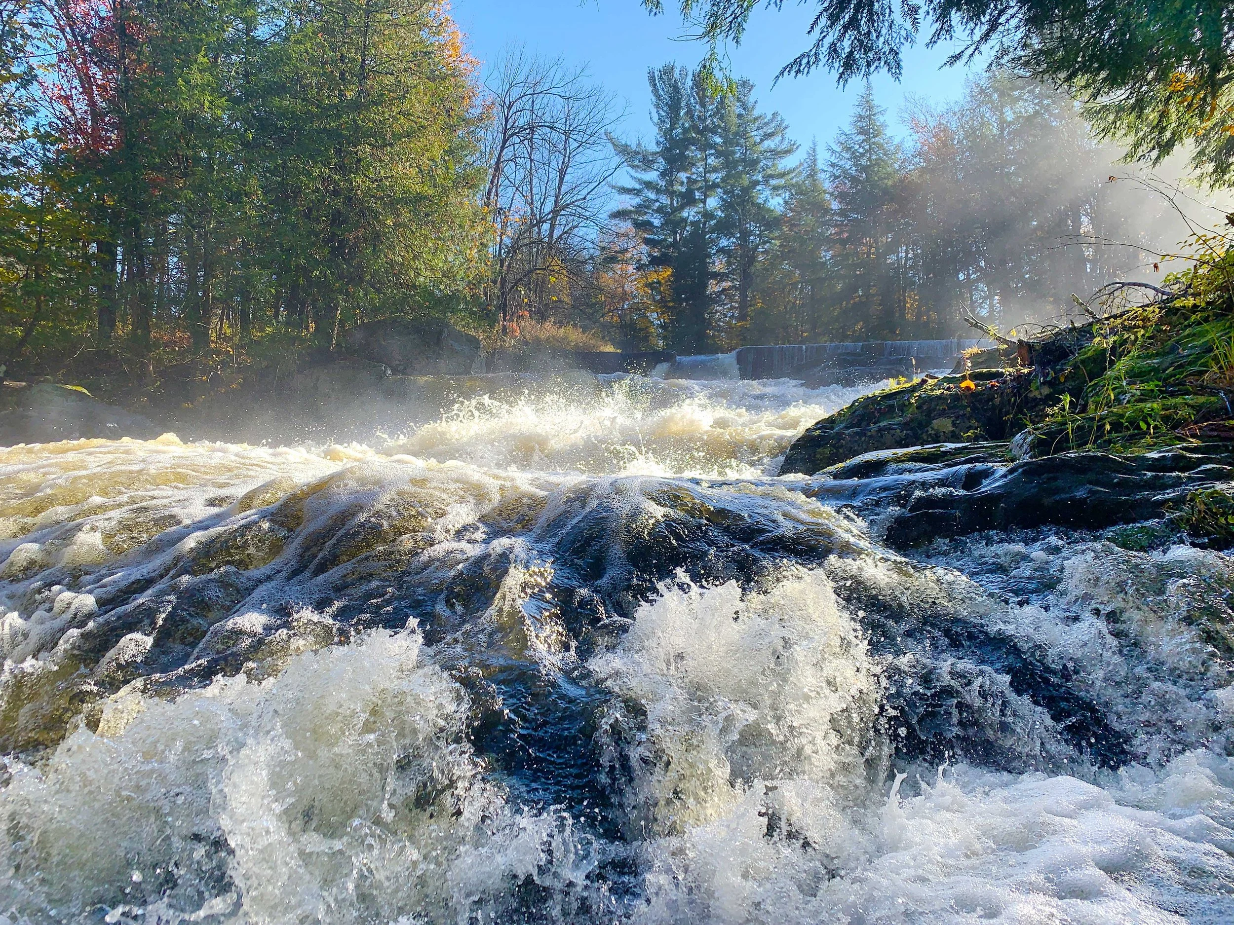 Jackson's Creek / Ruisseau de Jackson (2022)