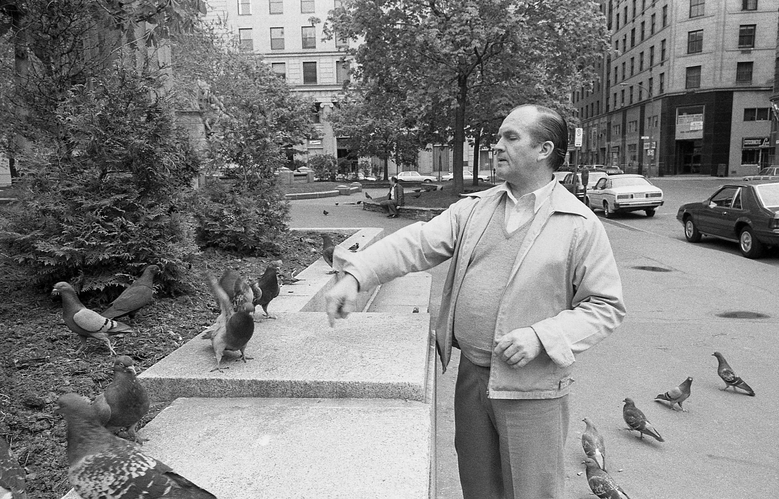 Homme et pigeons rue Ste-Catherine / Man with pigeons Ste-Catherine street - 1982